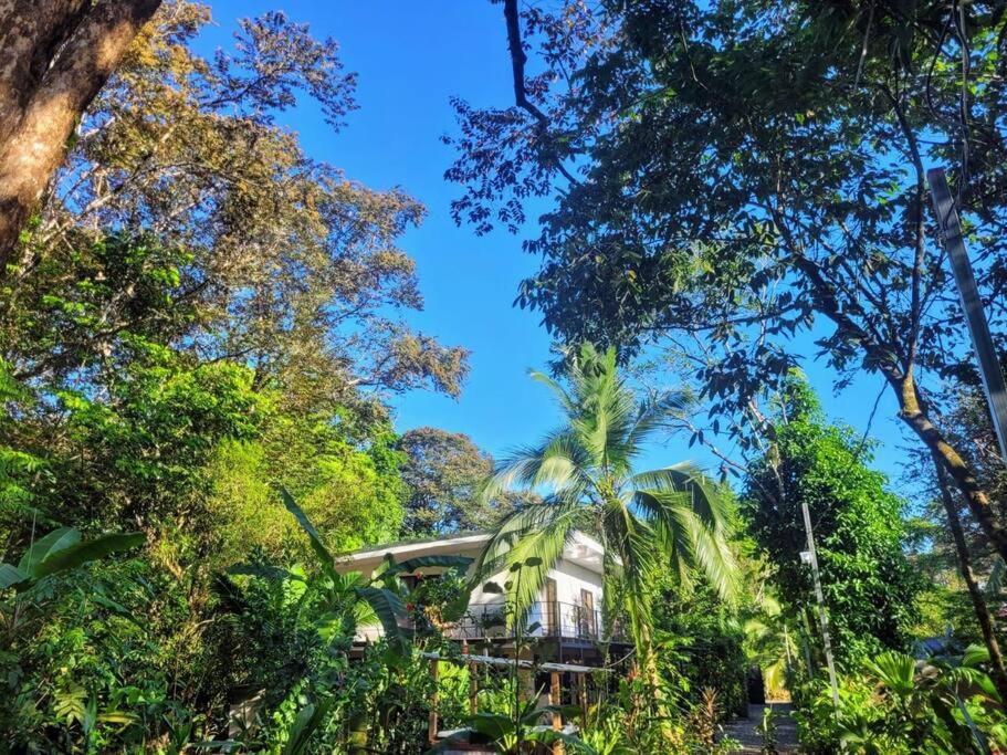 Luba House Villa Puerto Jimenez Phòng bức ảnh